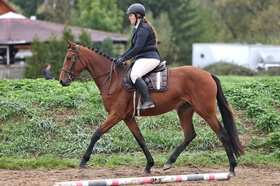 Bergbriesse